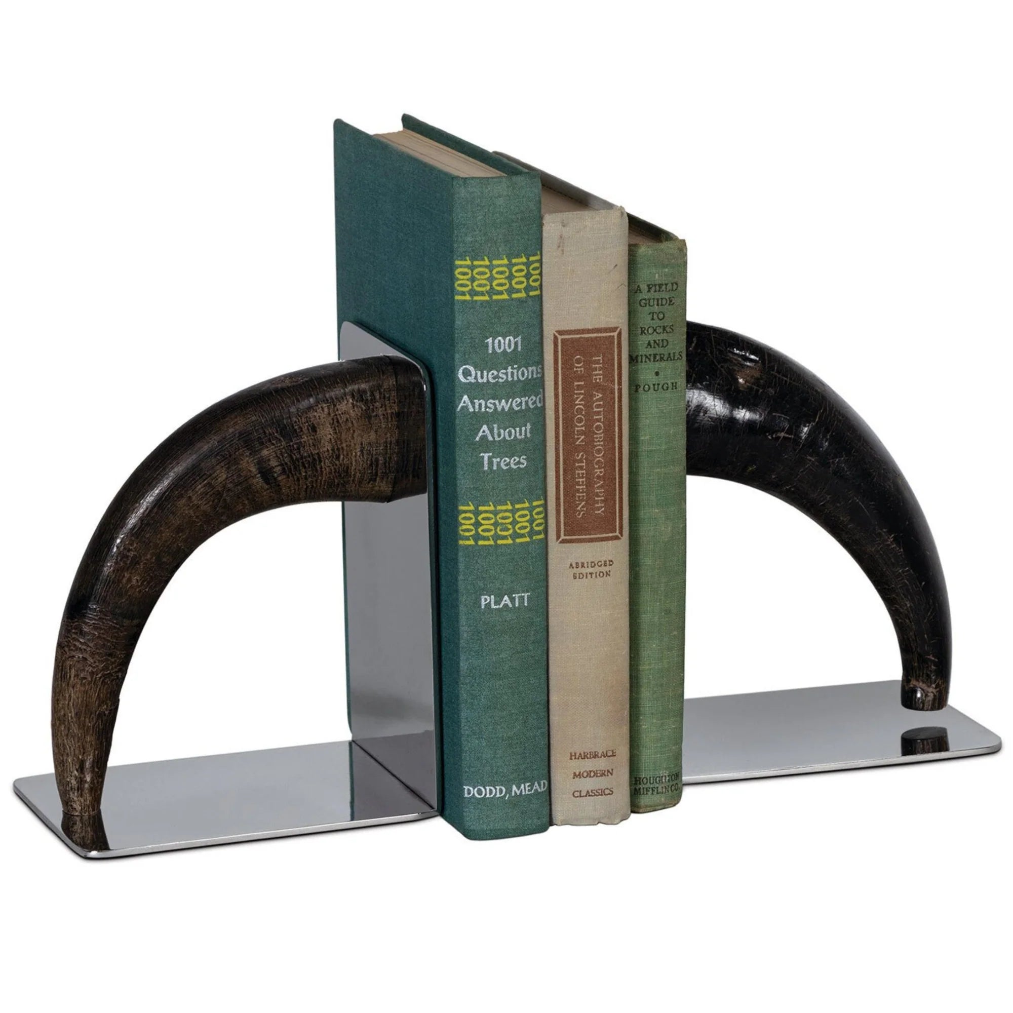 Horn Bookend Set
