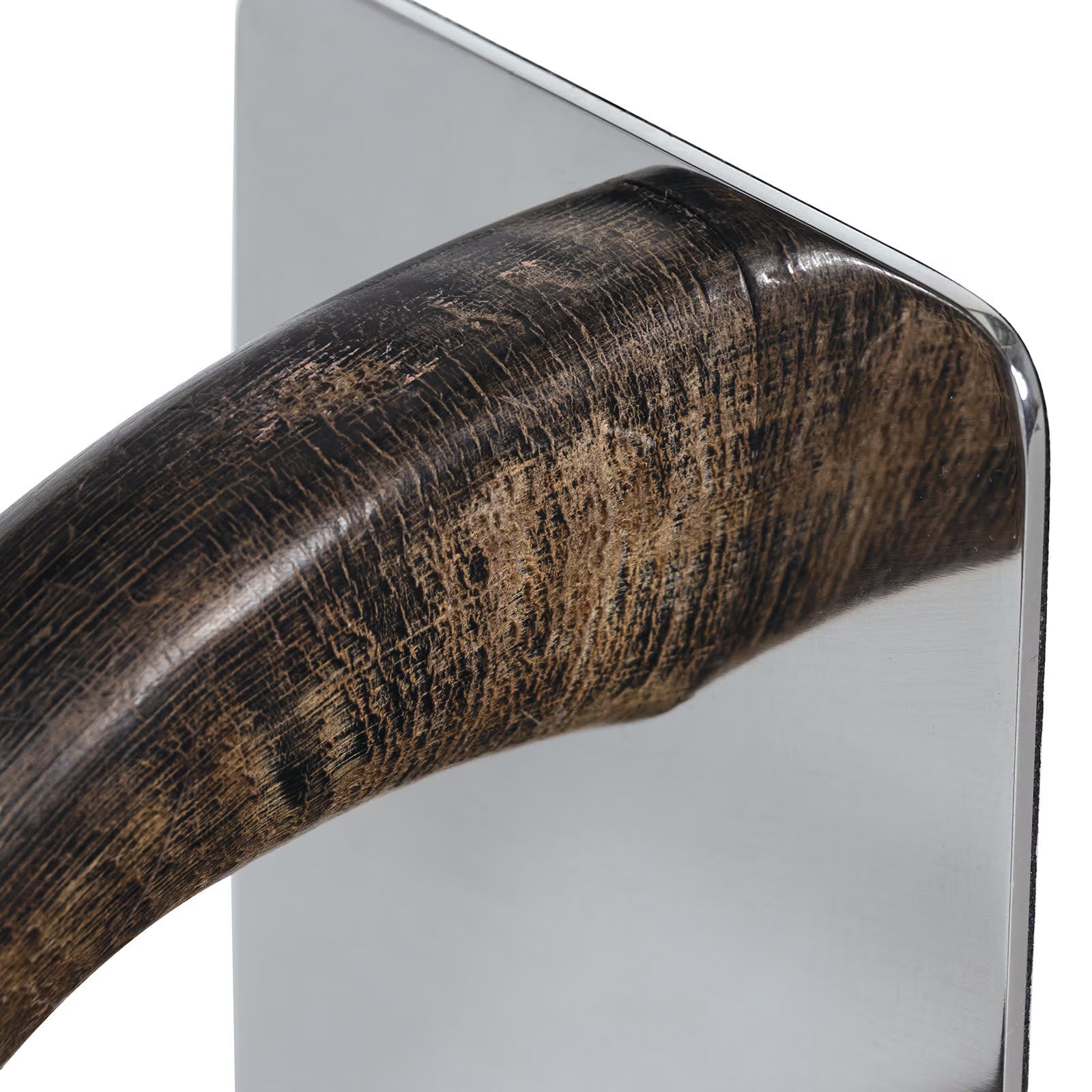 Horn Bookend Set