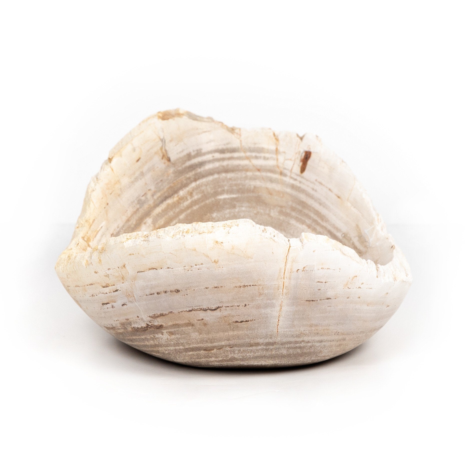 Light Petrified Wood Bowl