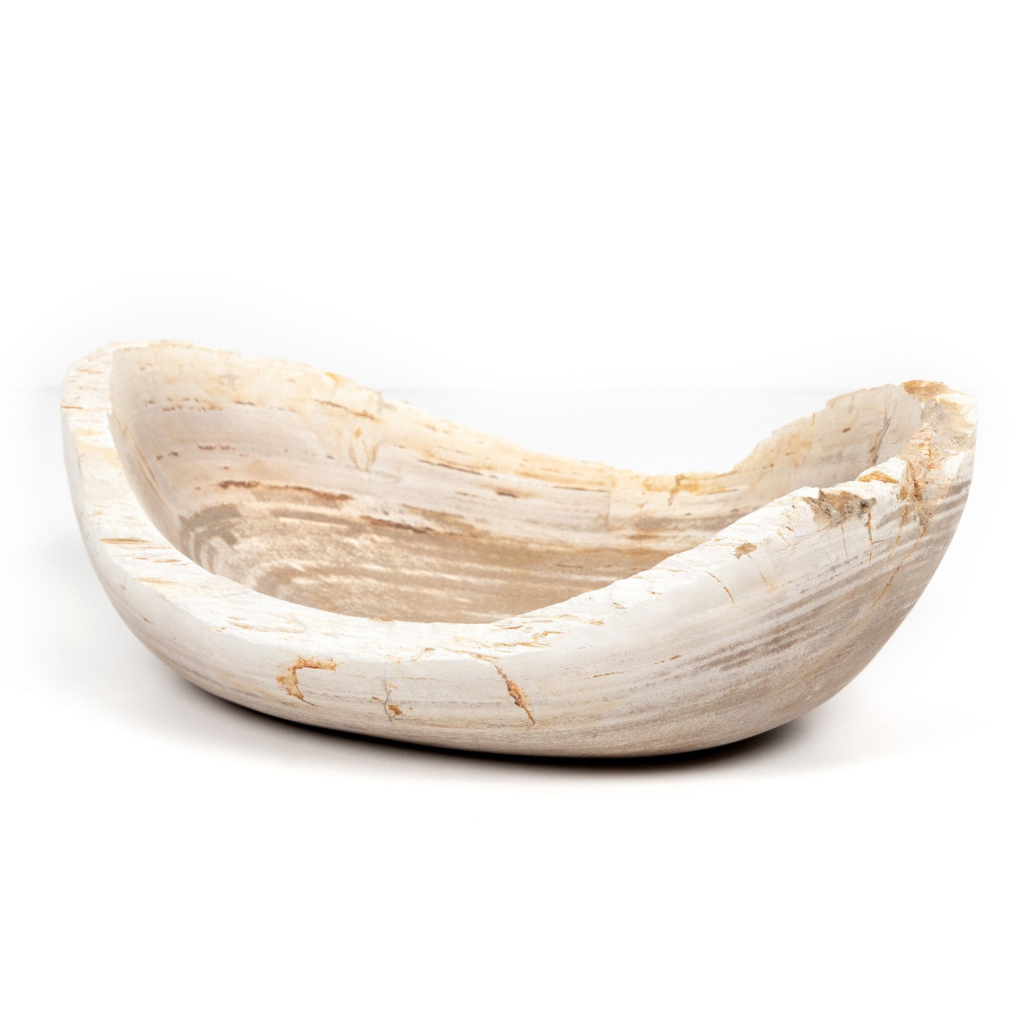 Light Petrified Wood Bowl
