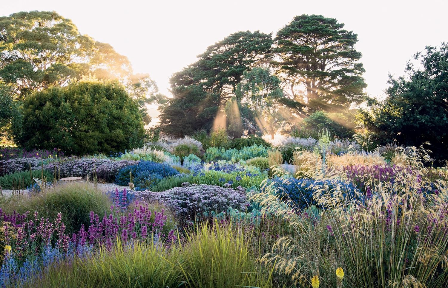 Dreamscapes: Inspiration and Beauty in Gardens Near and Far