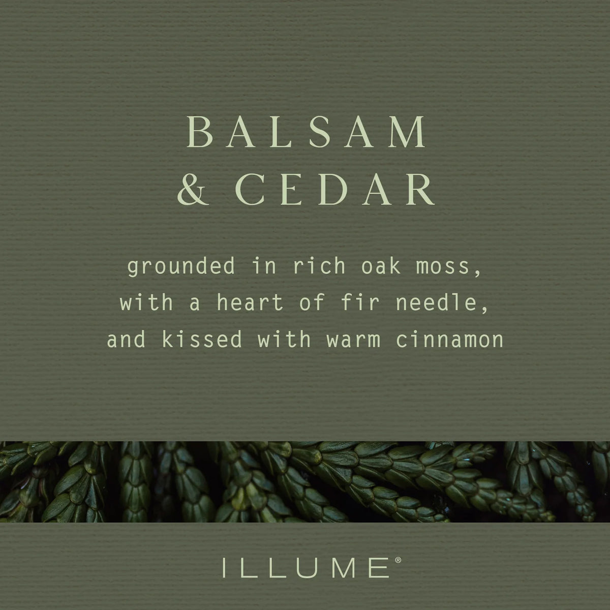 Balsam & Cedar Large Radiant Glass Candle