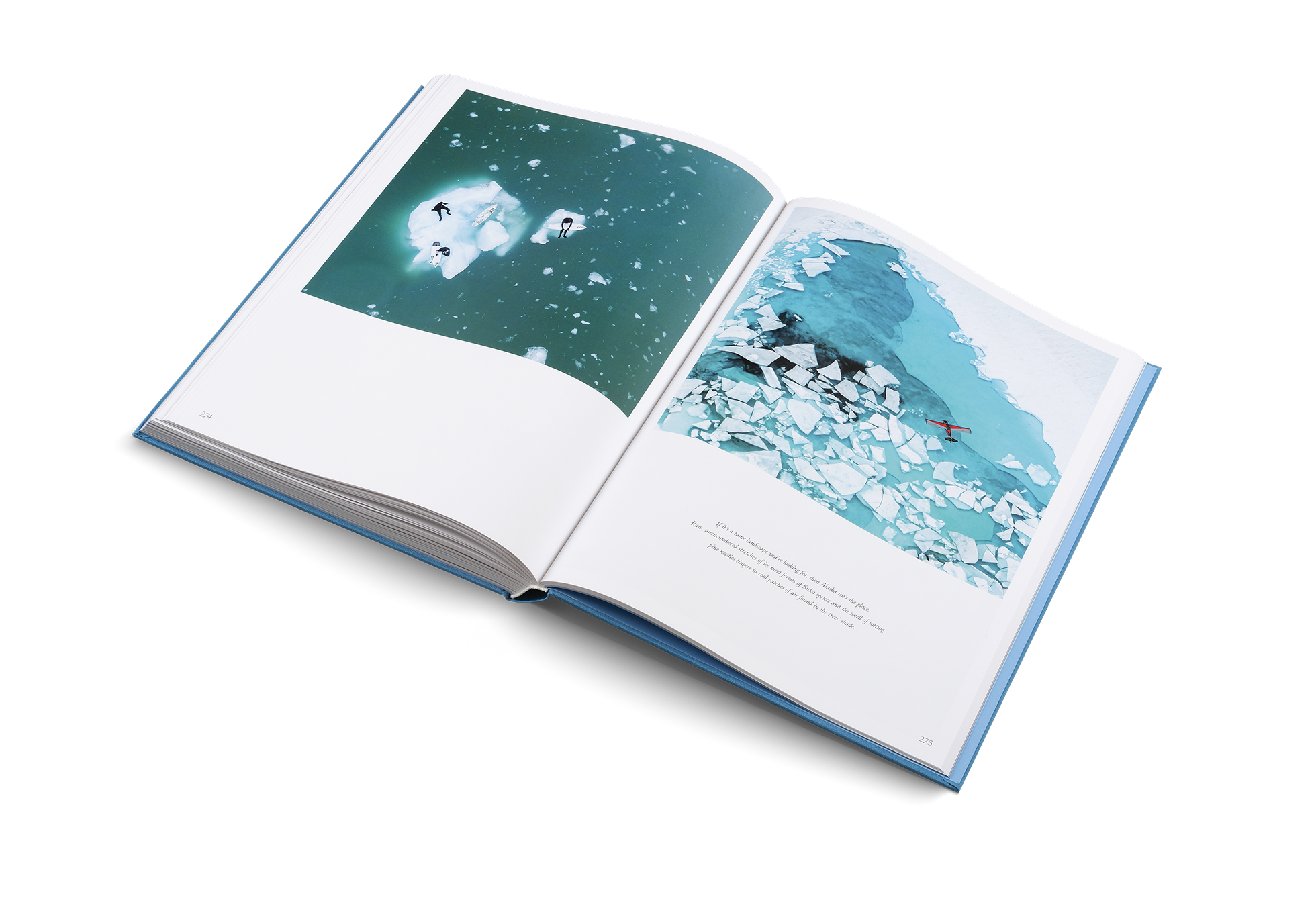 The Oceans