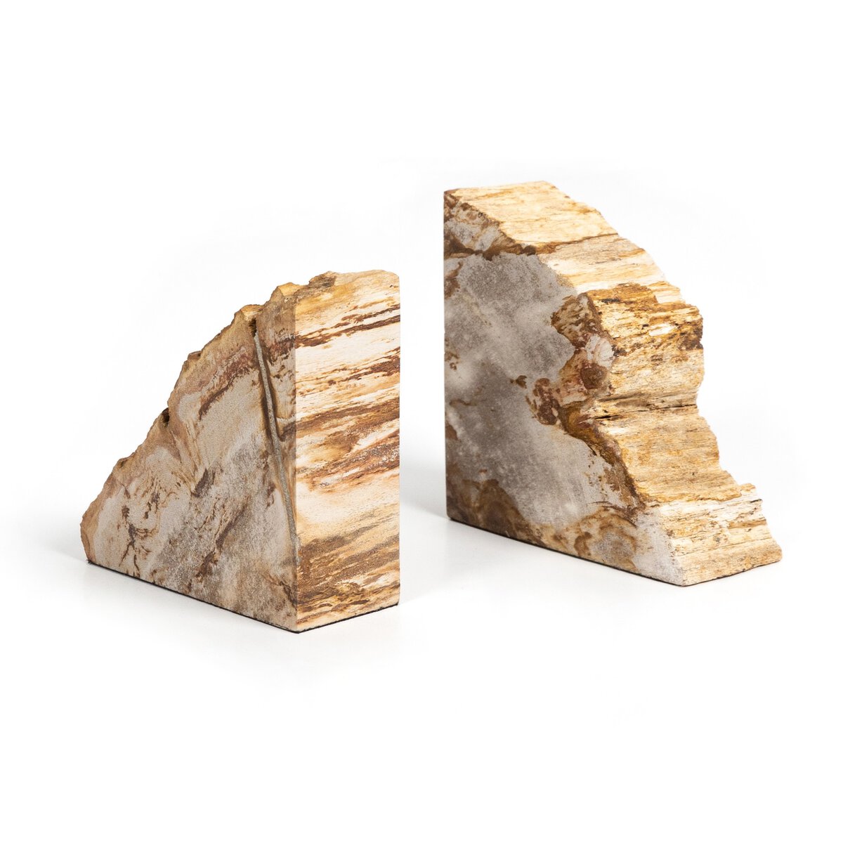 Light Petrified Wood Bookends