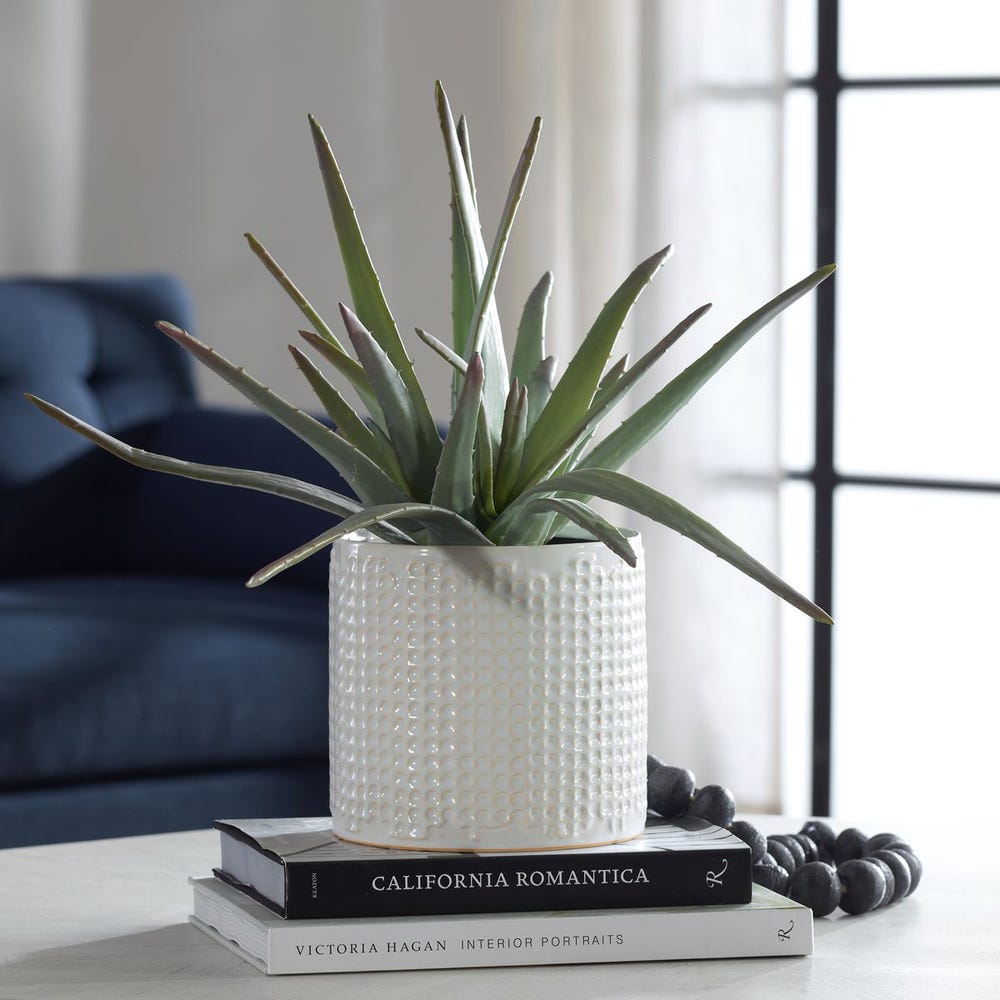 Aloe Centerpiece