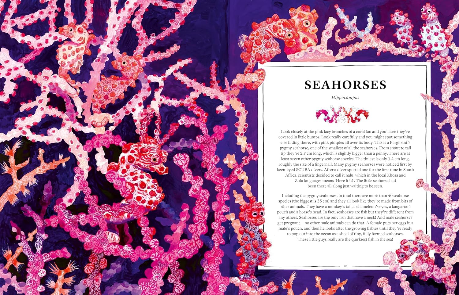 Oceanopedia