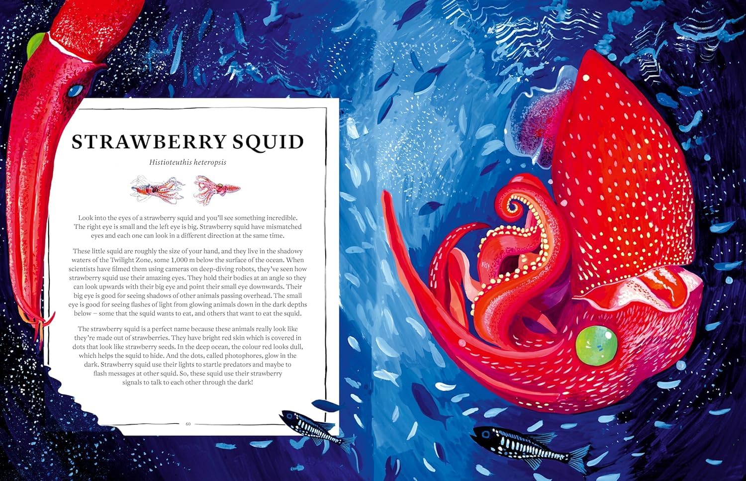 Oceanopedia