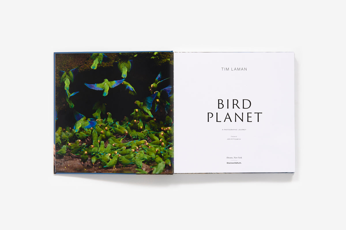 Bird Planet: A Photographic Journey