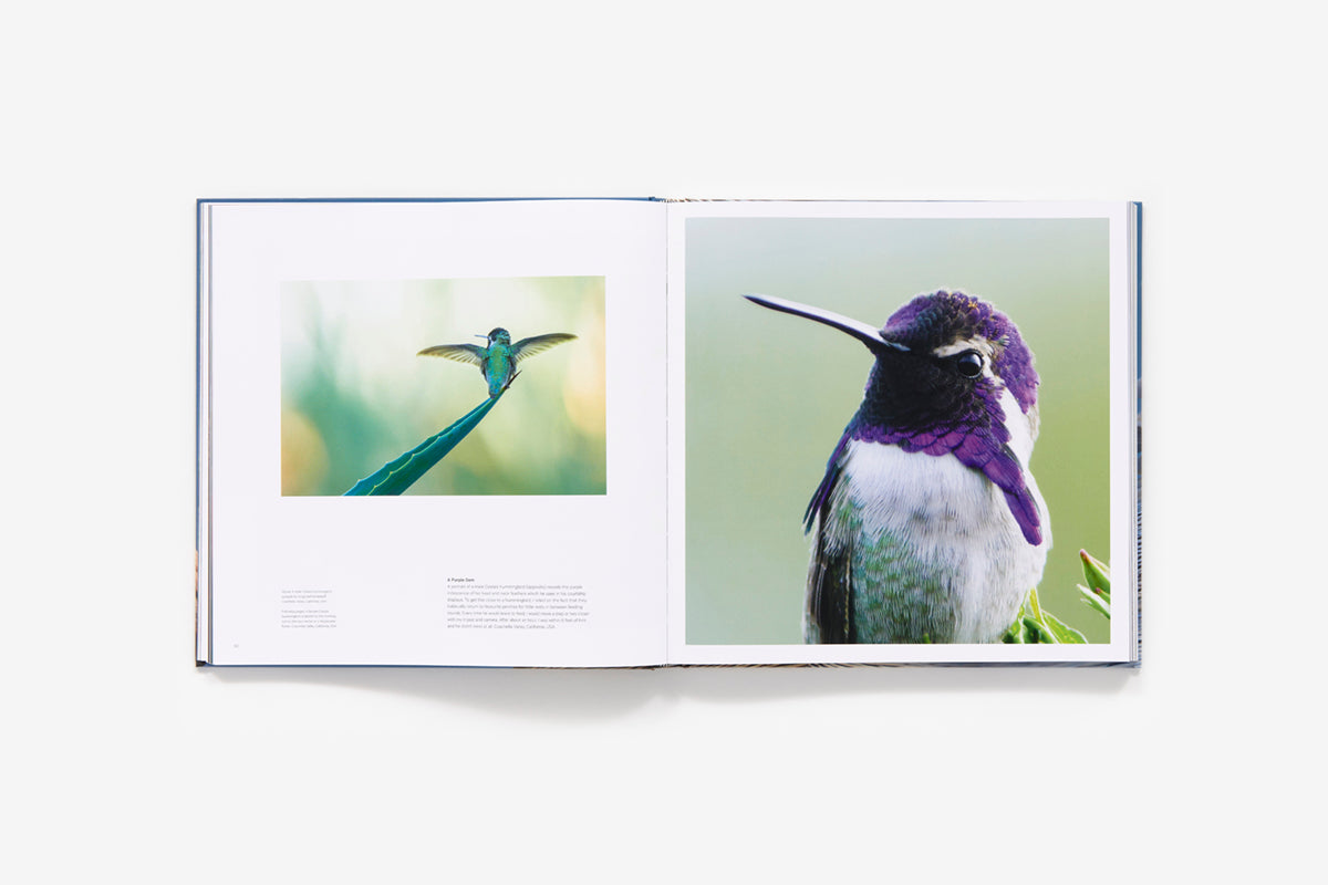 Bird Planet: A Photographic Journey