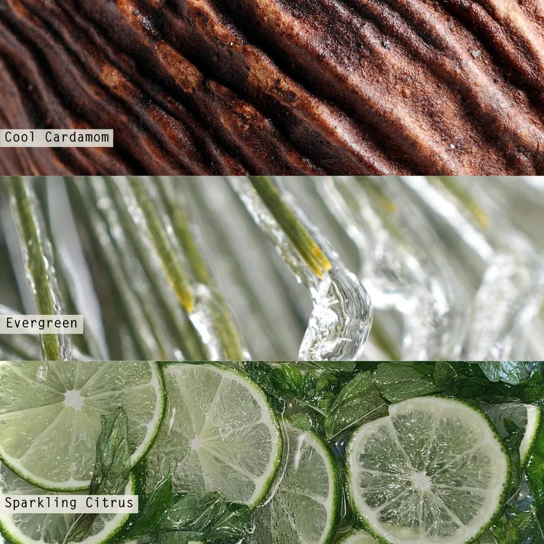 Winter White Aromatic Diffuser
