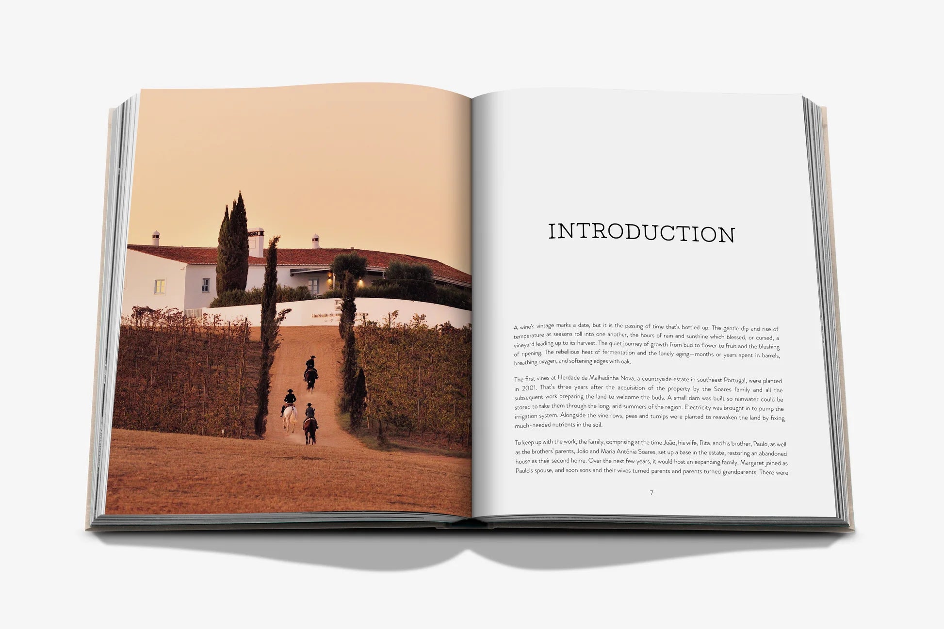Malhadinha: The Heart of Alentejo