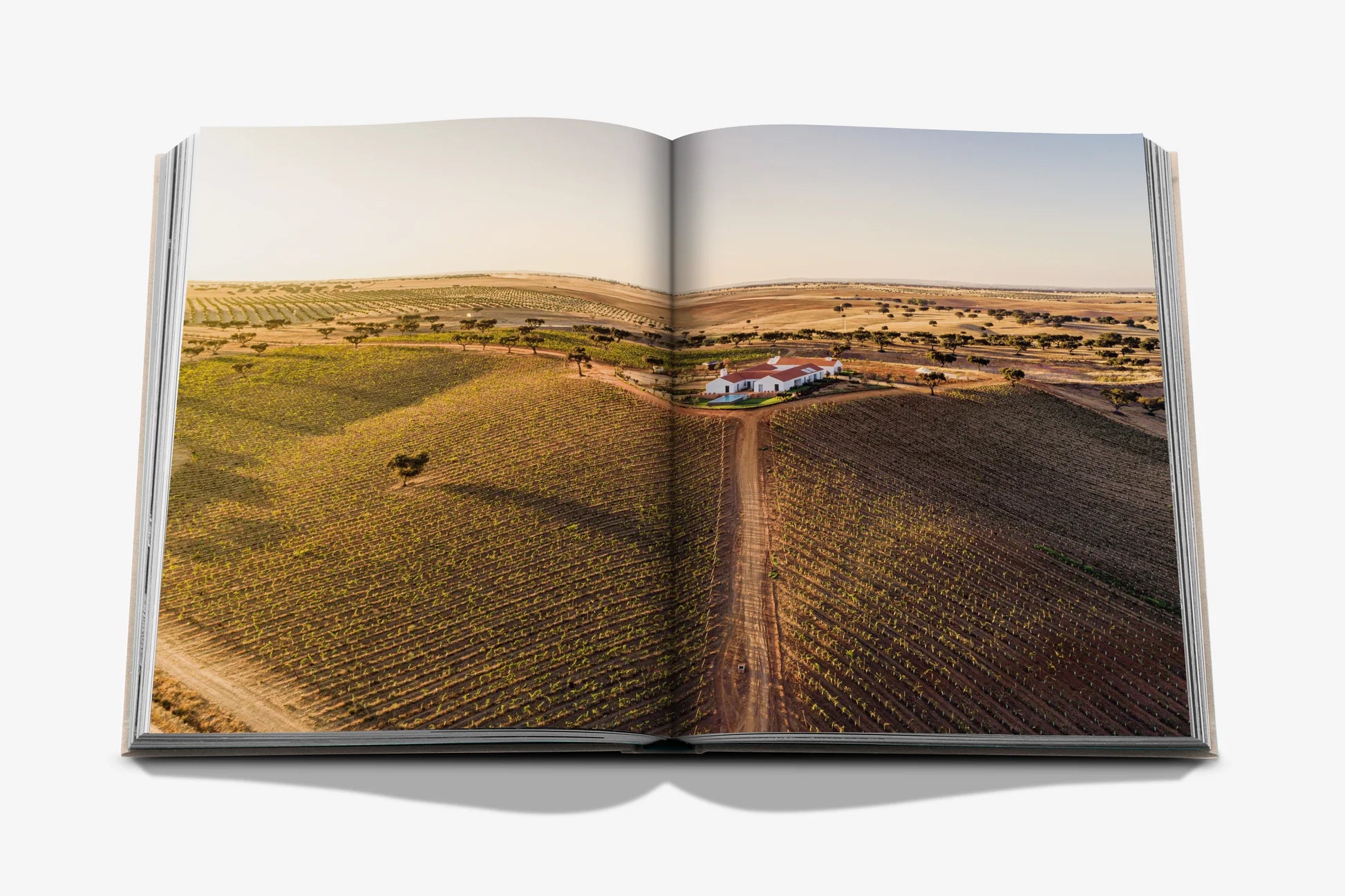 Malhadinha: The Heart of Alentejo